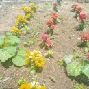 엠제이골프아카데미 이미지