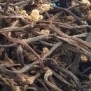 참샘산방 이미지