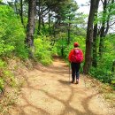 보성터미널앞 이미지