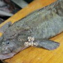 역전자원 이미지