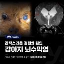 소로동물병원