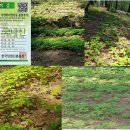 정한정비 이미지