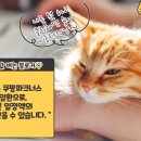 영동씨푸드(주)
