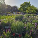 중부대학교 원격대학원 이미지