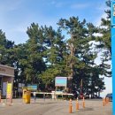 연곡해변 솔향기캠핑장 이미지