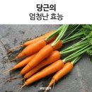 &#39;아침 공복&#39;에 먹으면 보약보다 좋은 14가지 음식 이미지