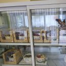 제이델링 영천점 | (경북영천케이크) 한여름에 딸기케이크가 있는 제이델링