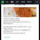 인티에서 난리난 마라탕집 뒷얘기 올라옴 이미지