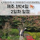 제주파크힐 | 3박4일 일정 2일차 후기 🎠 카멜리아힐 / 제주할망밥상 / 뷰스트 / 신화워터파크 / 탐모라찜질방...