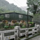 일단정지 이미지