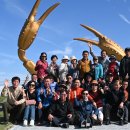 낭성초등학교 이미지