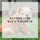 장인치과의원 이미지