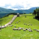 들판의추억목장 이미지