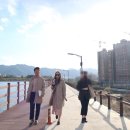 폰드(FOND) 이미지