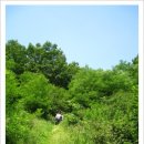 황새울농장 이미지