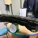 용초화장실 이미지