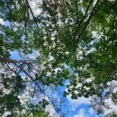 용추사위 이미지