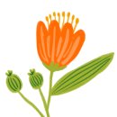 치유원예테라피 이미지