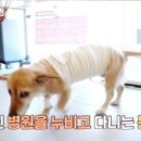 최강농장 이미지