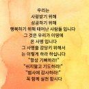 딩동매니아