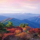 지리산칸호텔 이미지