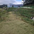 원북방갈분교 이미지