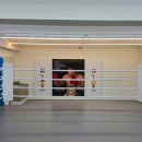 스타복싱클럽 이미지