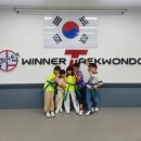 위너태권도장 이미지