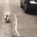 룰루랄라 이미지