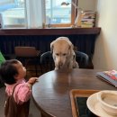 안녕 멈머야 | 수원 권선구 - 두옥 브런치카페 내돈내산 후기