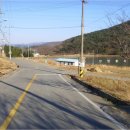 망성1리 이미지