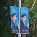 탭댄스 위드재즈 콘서트 | [콘서트] 팜트리 3rd 갈라 콘서트 (첫공/막공) 후기(1)