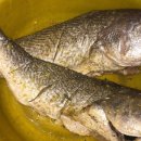 Cooking with Fari- oven jerk fish and fluffy mashed potatoes recipe 이미지