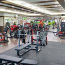 월드피아 헬스 이미지