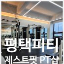 제스트핏 피티샵 이미지