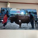 안심농장직영식육식당 이미지