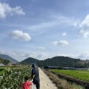 민결농장 이미지