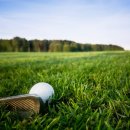 평창스크린골프 이미지