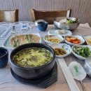 강아지마을펫택시 이미지