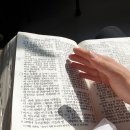 대로1-2R 이미지