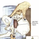 메디핏아카데미