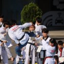 멘토 태권도장 이미지