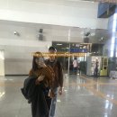 덕산온천타워호텔 이미지