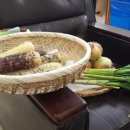 국희농장 이미지