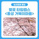 거북이마을 이미지