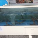 미스터오징어&홍베이팡 이미지