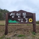 저동 수협 앞 이미지