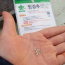 오크린 이미지