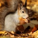 클래식을 리메이크한 팝송 시리즈 . 2 이미지