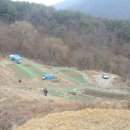 죽전리 Daum카페
